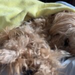 ぐっすり眠れる