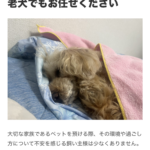 こんな記事がだせます