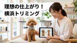 横浜で理想のトリミングサロンを見つける！仕上がりの不安を解消する選び方