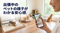 神奈川で出張時のペットホテル選び。預かり中の様子がわかる安心サービスとは？